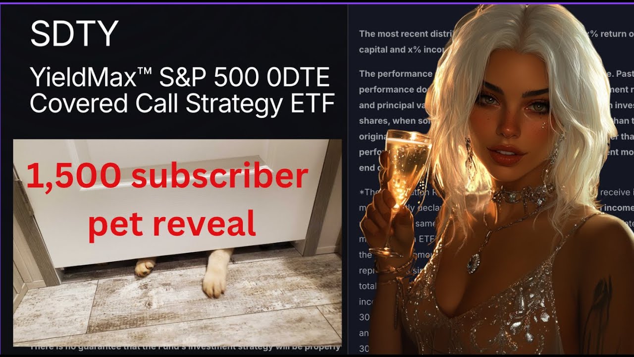 My thoughts on SDTY, Yieldmax's new fund. Competitor to Roundhill's XDTE