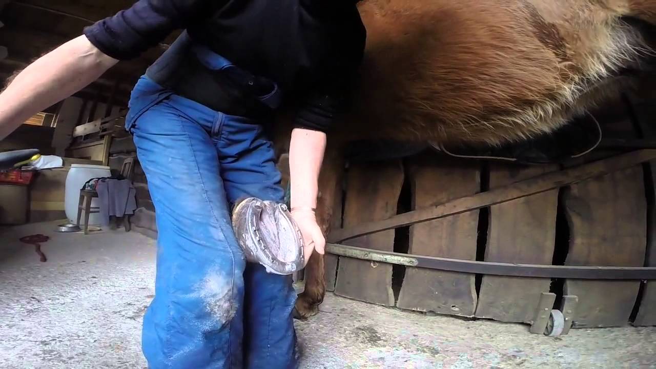 Dobokay Lovasudvar 1.R&eacute;sz-A patkol&aacute;s