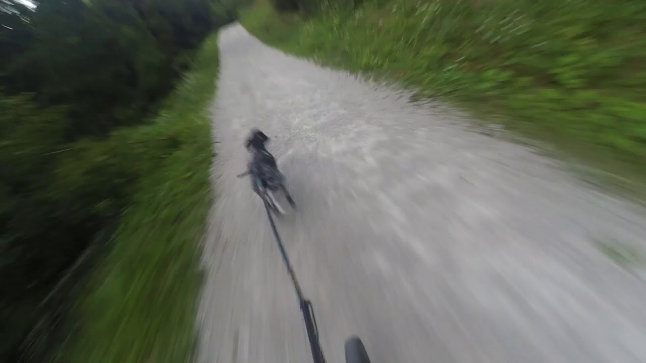 Bikejoring Gradiško jezero