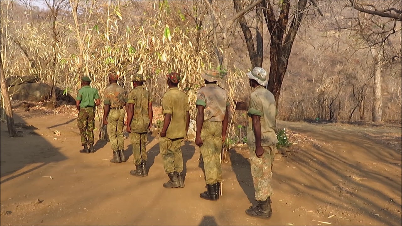 Thuma Reserve /Malawi 2016