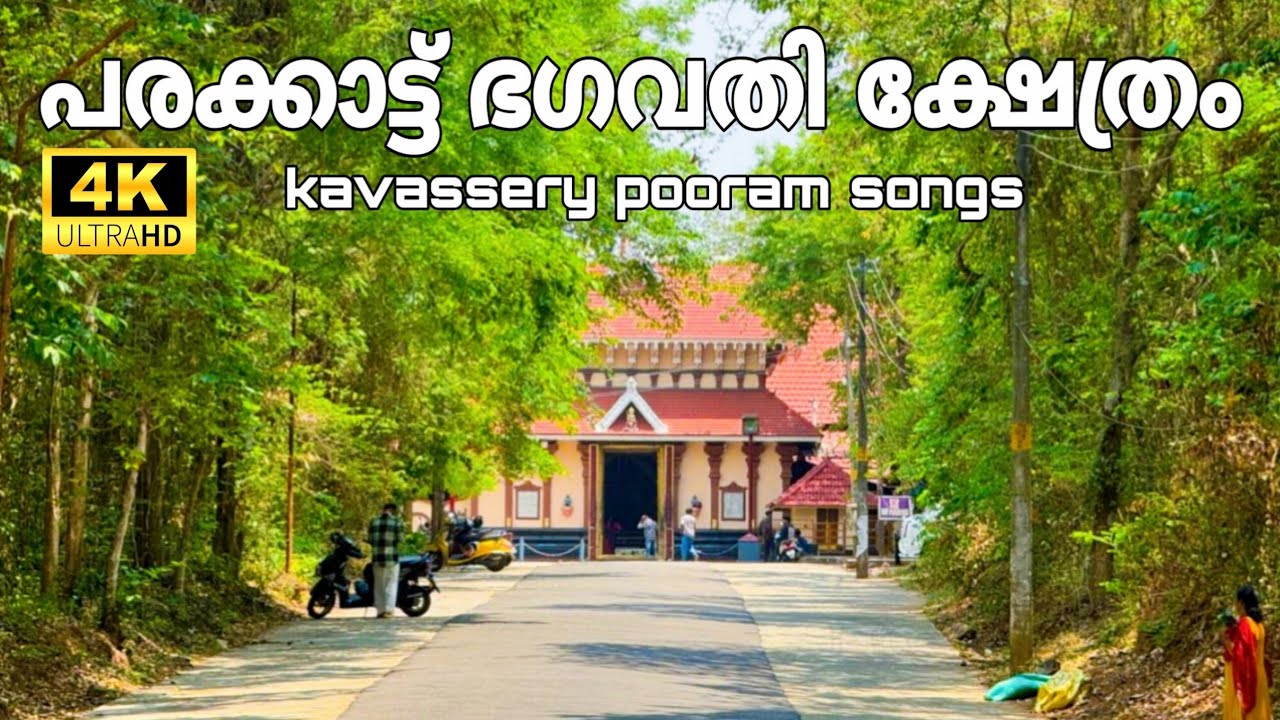 #kavassery pooram കാവശ്ശേരി പൂരം സോങ്ങ് 2024 | Kavassery pooram songs | Kavassery | Palakkad