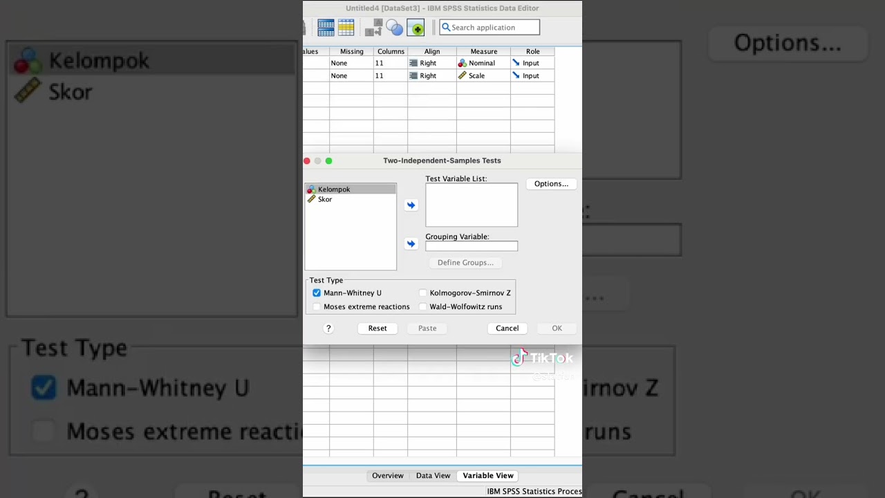 Uji Mann Whitney Di Spss, lengkap interpretasi!!
