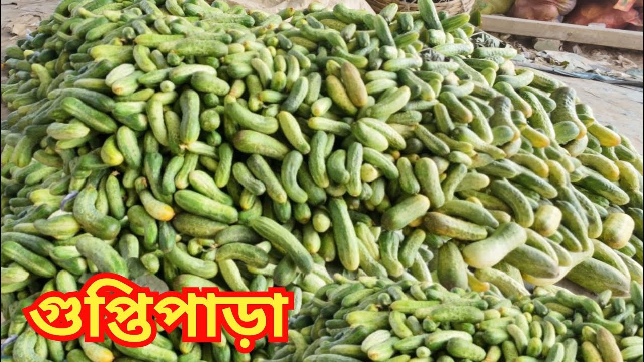 গুপ্তিপাড়ায় সবজির দাম সস্তা হয়ে গেলো/Guptipara Sobji Market/Wholesale Vegetable Market in Kolkata/