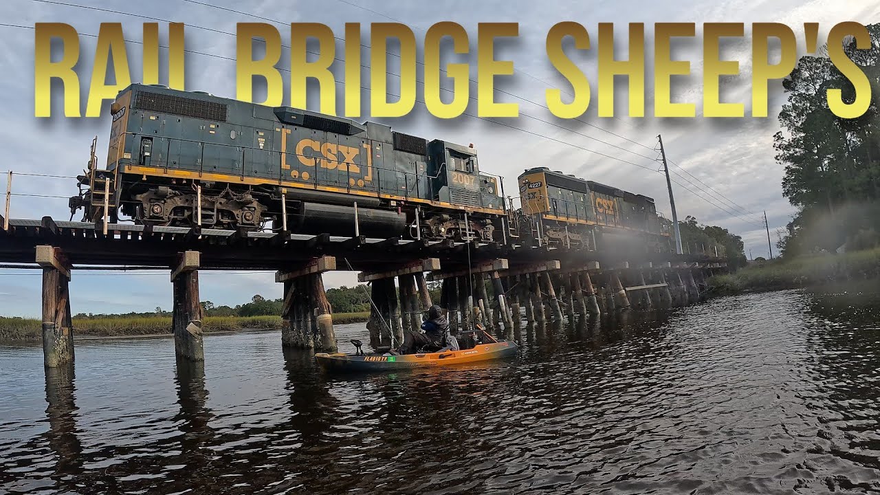 THIS BRIDGE HELD THESE HARD FIGHTING FISH!!Fish everywhere!! Ep2 EXPLORING NEW SPOTS FOR SHEEPSHEAD