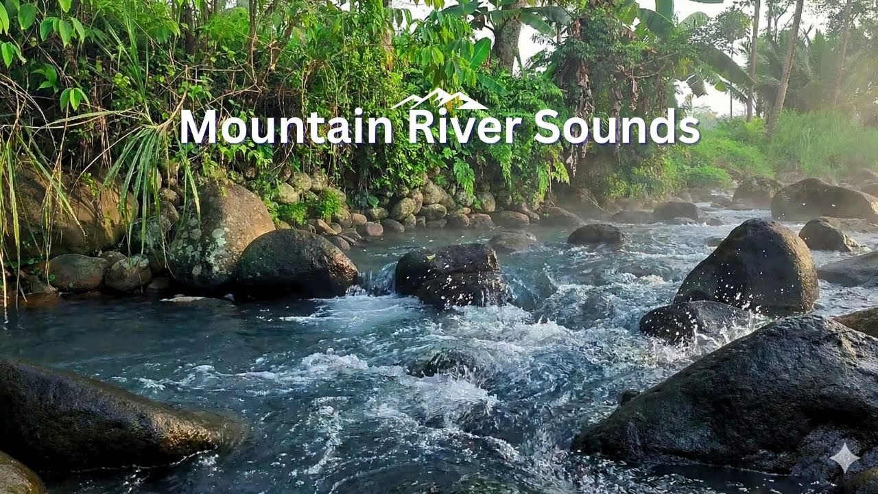 Calming River Sounds for Deep Sleep Steady Natural Jungle Water Flow No Music