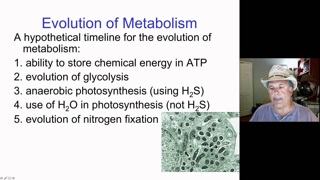 Cinelecture 48 - Evolution of Metabolic Pathways