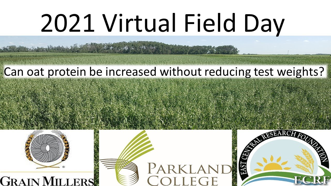 2021 Virtual Field Tour: Can oat protein be increased without reducing test weights?