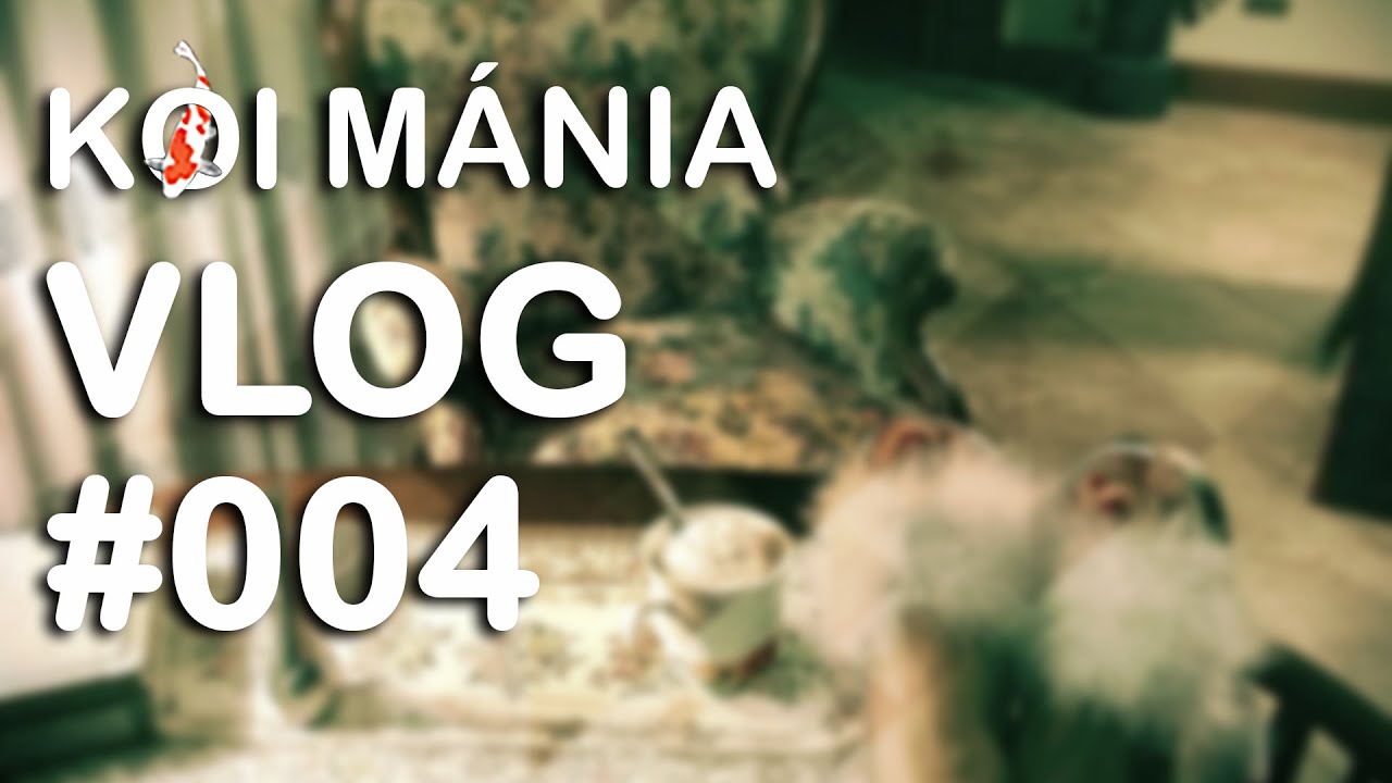 Koi Mánia VLOG#004 - KáVé avagy kérdések és válaszok 2018