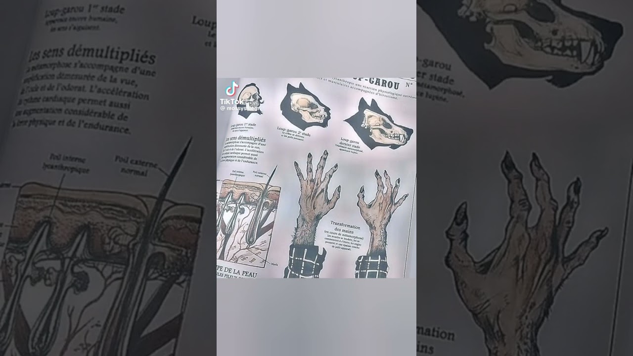 A Cryptids otherkin/alterhuman tiktok comp!!!^^ #alterhuman#otherkin#cryptidkin#cryptid