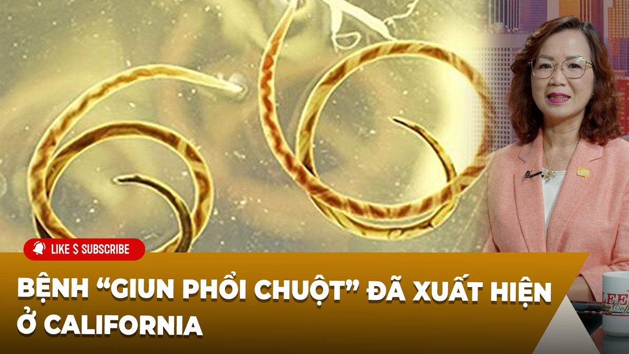 Cà Phê Sáng P6 (03-10-2026) Bệnh “giun phổi chuột” đã xuất hiện ở California