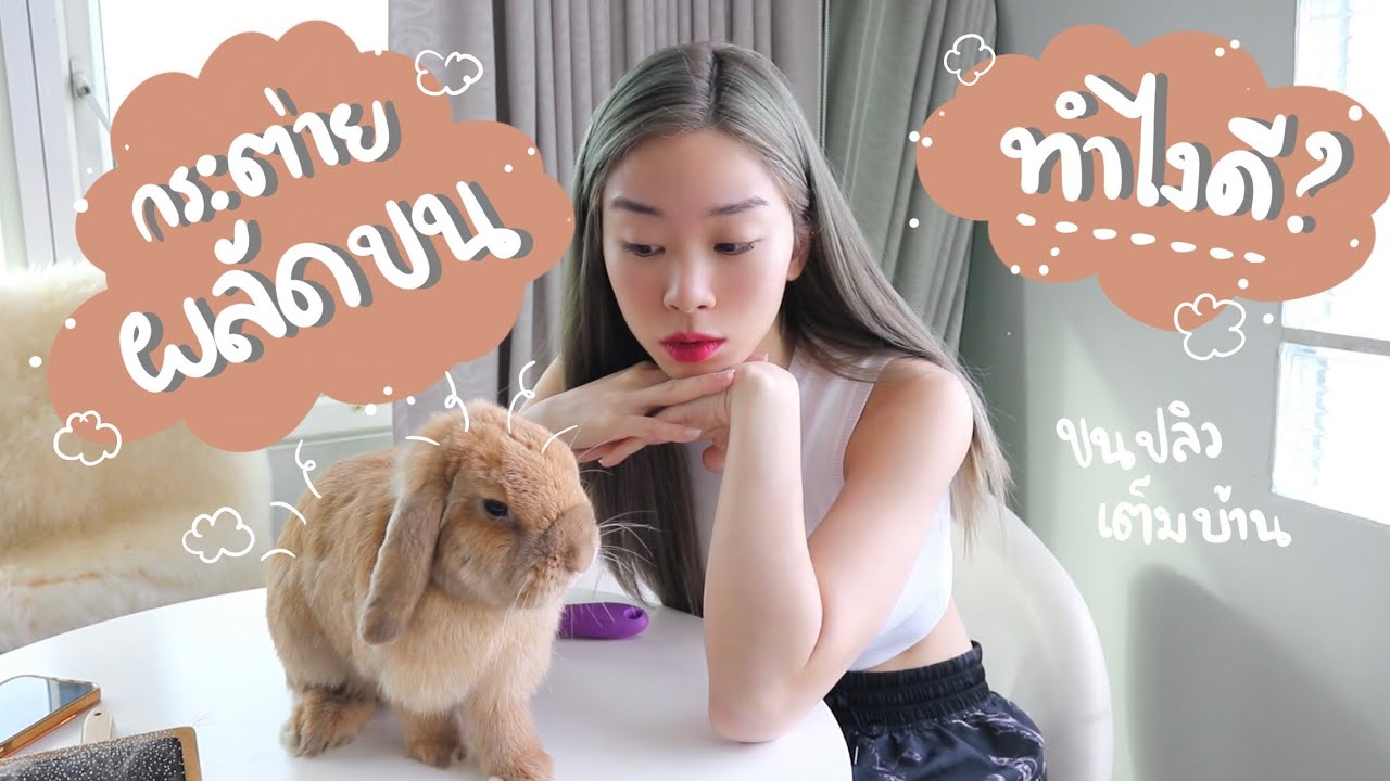 EP.37 กระต่ายผลัดขน ขนร่วงเพียบ ดูแลยังไงดีนะ #BunnyTTCoupe | Joyjee Loveberry