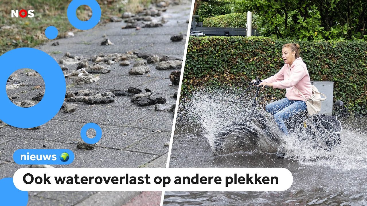 Drollen op straat in Zandvoort door overstroomd riool