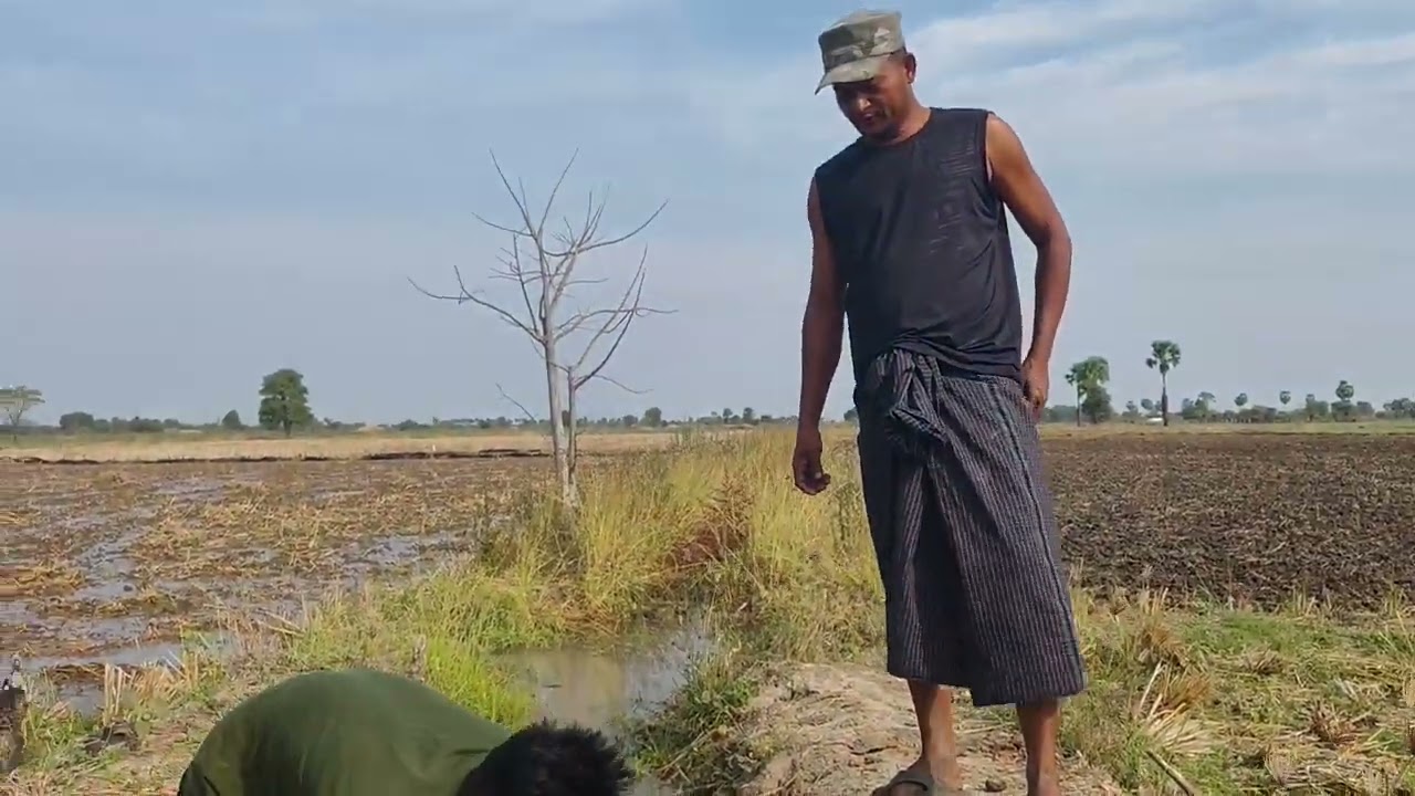 အညာ ပုစွန်ရှာ ဒါပေမယ့်မရပါ🤣