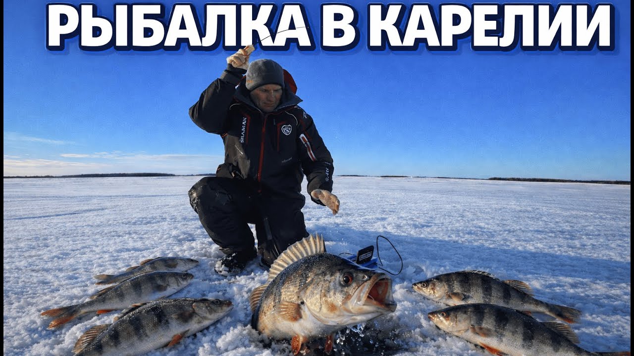 ЭТО СПАСЛО МОЮ РЫБАЛКУ! КАК ЗАСТАВИТЬ РЫБУ КЛЕВАТЬ В ГЛУХОЗИМЬЕ? ЗИМНЯЯ РЫБАЛКА 2026