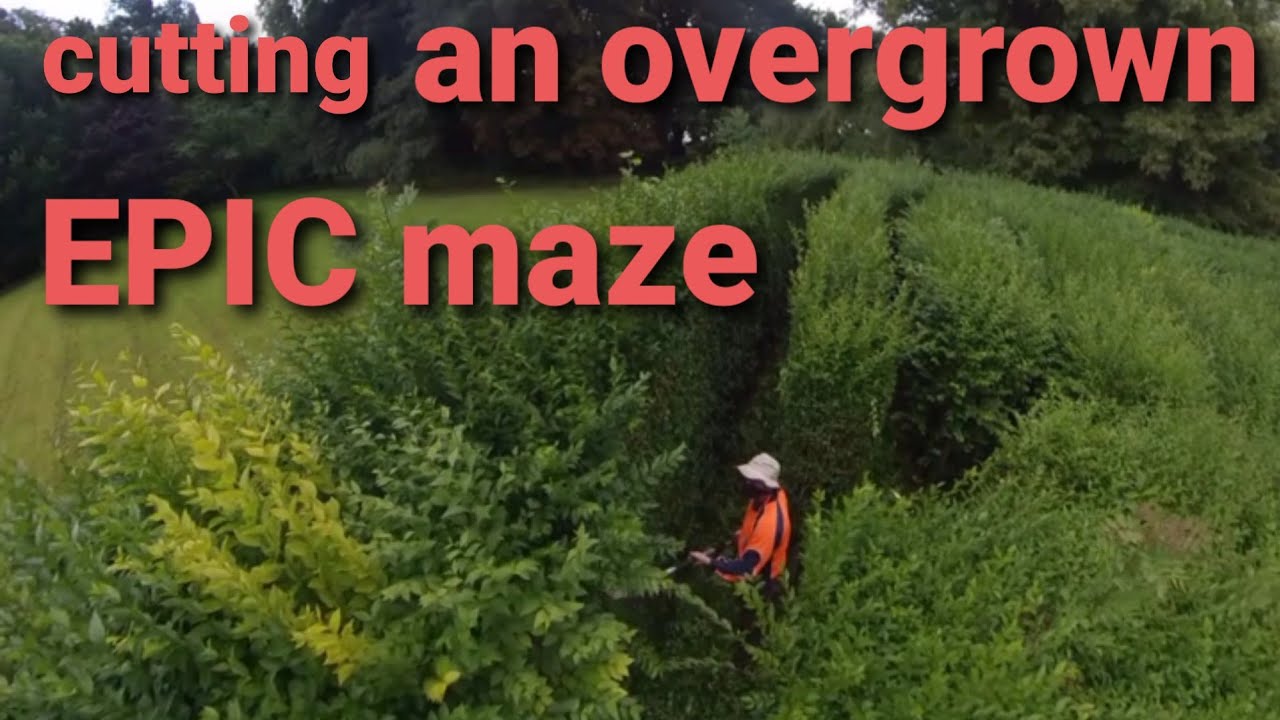 Cutting an OVERGROWN EPIC maze