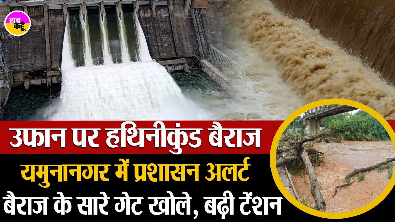 Yamuna River Flood Alert ! Hathnikund Barrage के सभी गेट खुले | Yamuna Nagar Flood | Haryana Flood