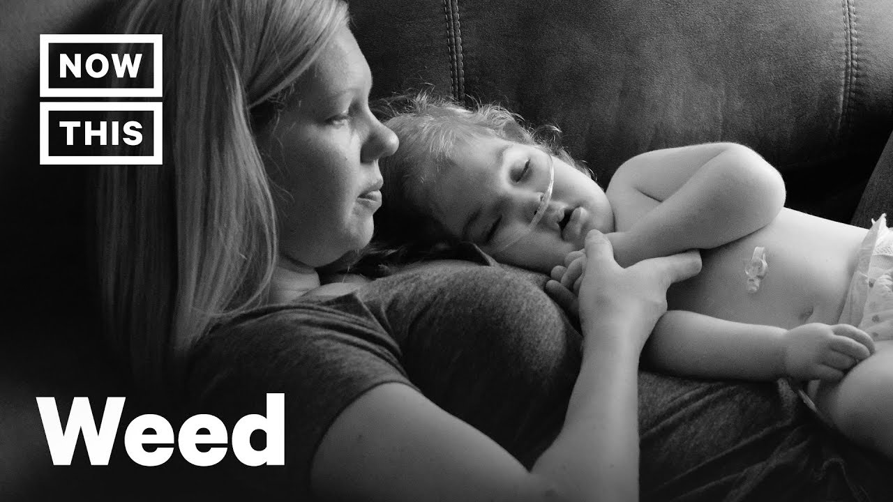 Photographer Spotlights the Kids Who Helped Legalize Weed | NowThis