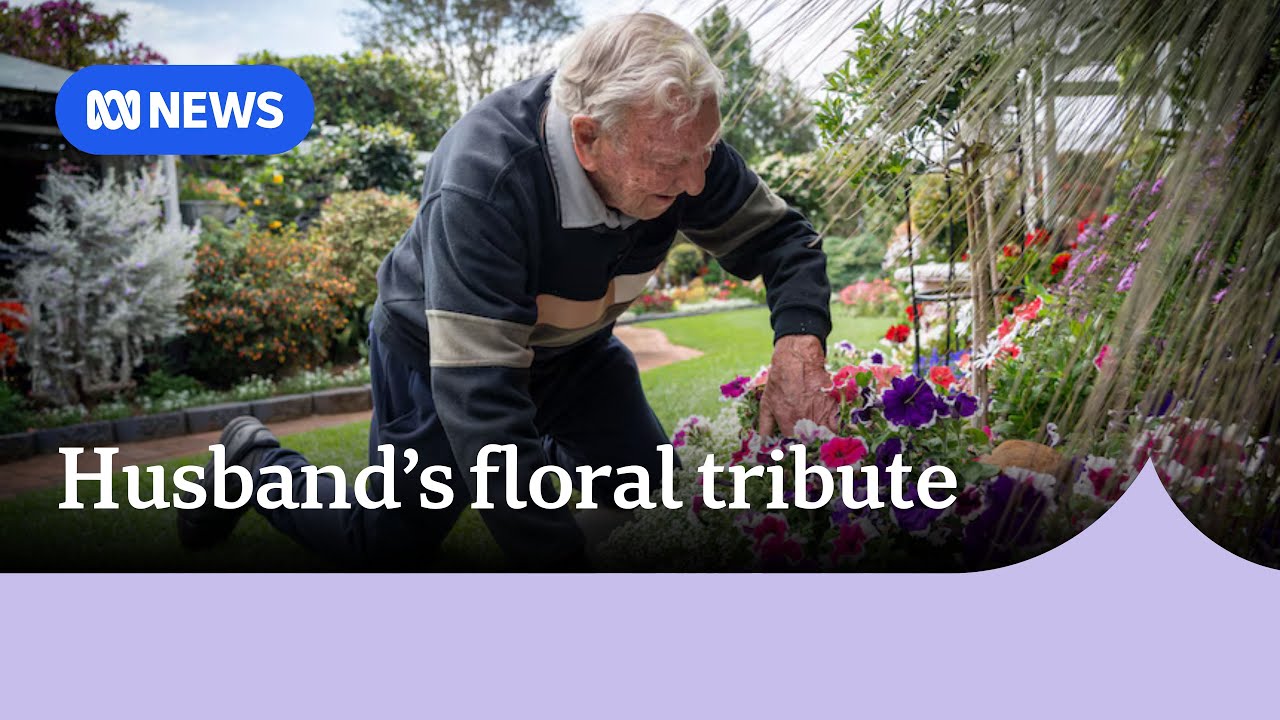 Late wife's legacy blooms at Toowoomba's Carnival of Flowers | ABC News