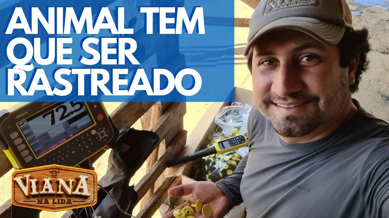 IDENTIFICAÇÃO ANIMAL - COMO VOCÊ IDENTIIFICA E CONTROLA SEUS ANIMAIS NA FAZENDA?