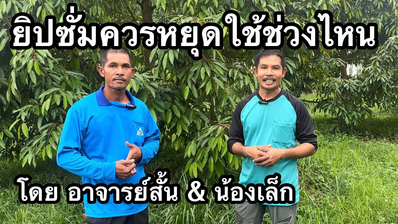 ยิปซั่มควรหยุดใช้ตอนไหน และกลับมาใช้อีกทีเมื่อไหร่ | อาจารย์สั้น & น้องเล็ก