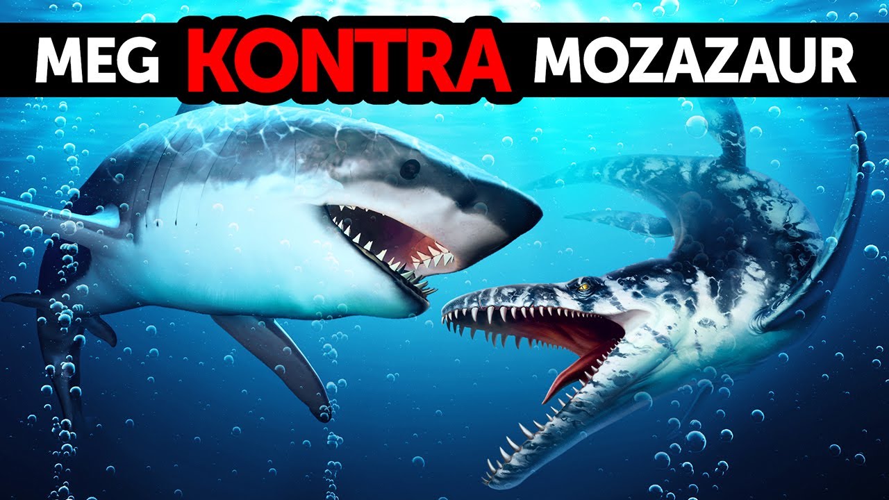 Megalodon spotyka gigantycznego morskiego dinozaura mozazaura
