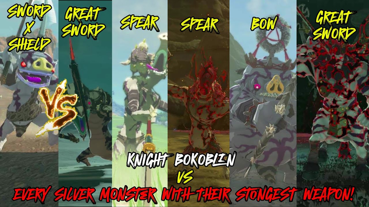 BOKOBLIN KNIGHT VS ALL SILVER MONSTER !!  (The Legend of Zelda: Tears of the Kingdom)