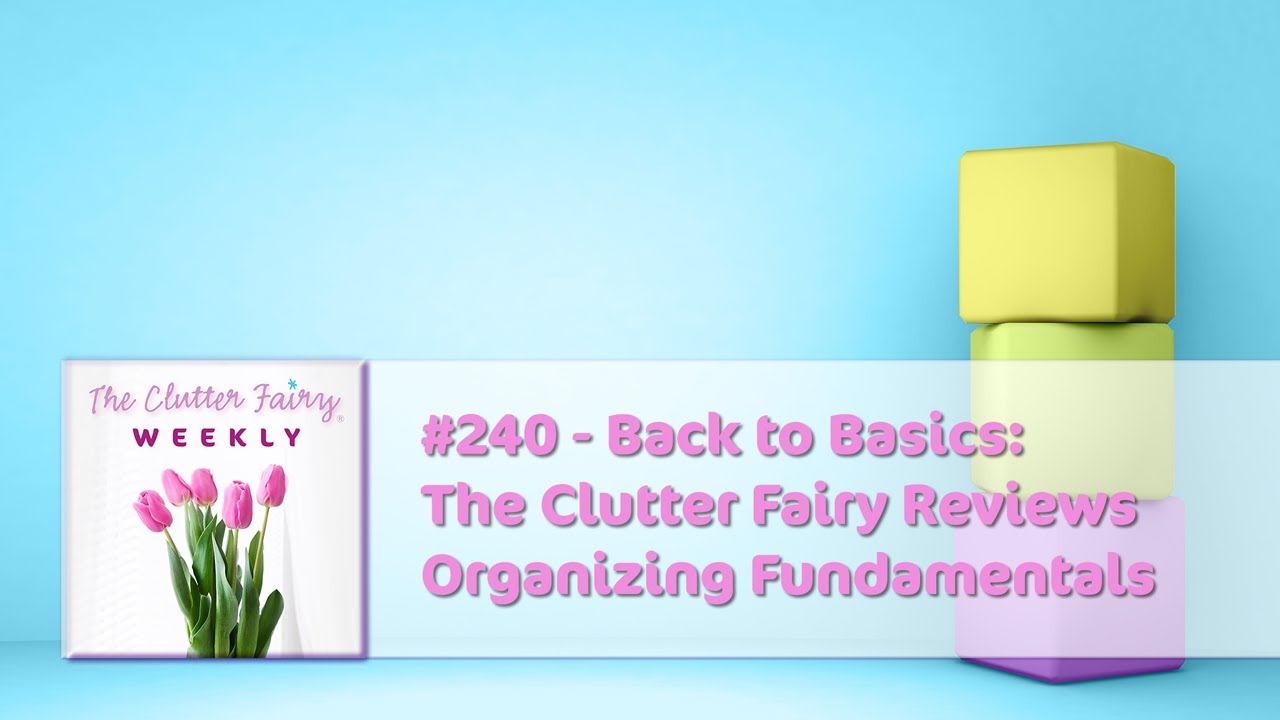 Back to Basics: The Clutter Fairy Reviews Organizing Fundamentals - The Clutter Fairy Weekly #240