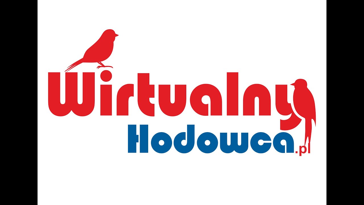 5.Z wizytą u hodowcy kanarków śpiewających. Slavujary kanarki z bardzo ciekawym śpiewem.