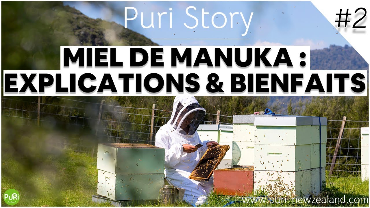 Puri Story #2 - Miel de Manuka : Explications & Bienfaits