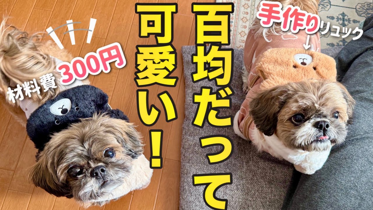 【シーズー】ダイソー、セリアで冬支度⛄️超簡単！犬用リュック作ったら可愛すぎた