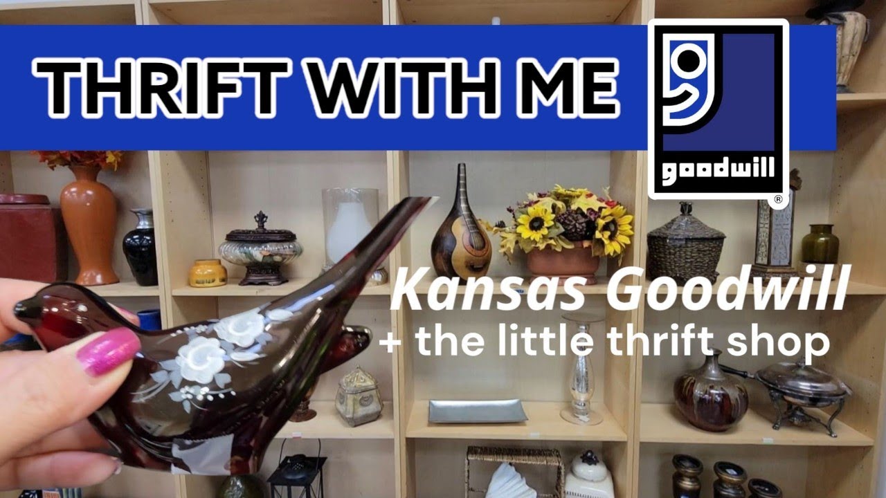 You Can't Go Wrong, Right? A box Full! Goodwill & Mom & Pop Thrift With Me! Thrift Store Finds!