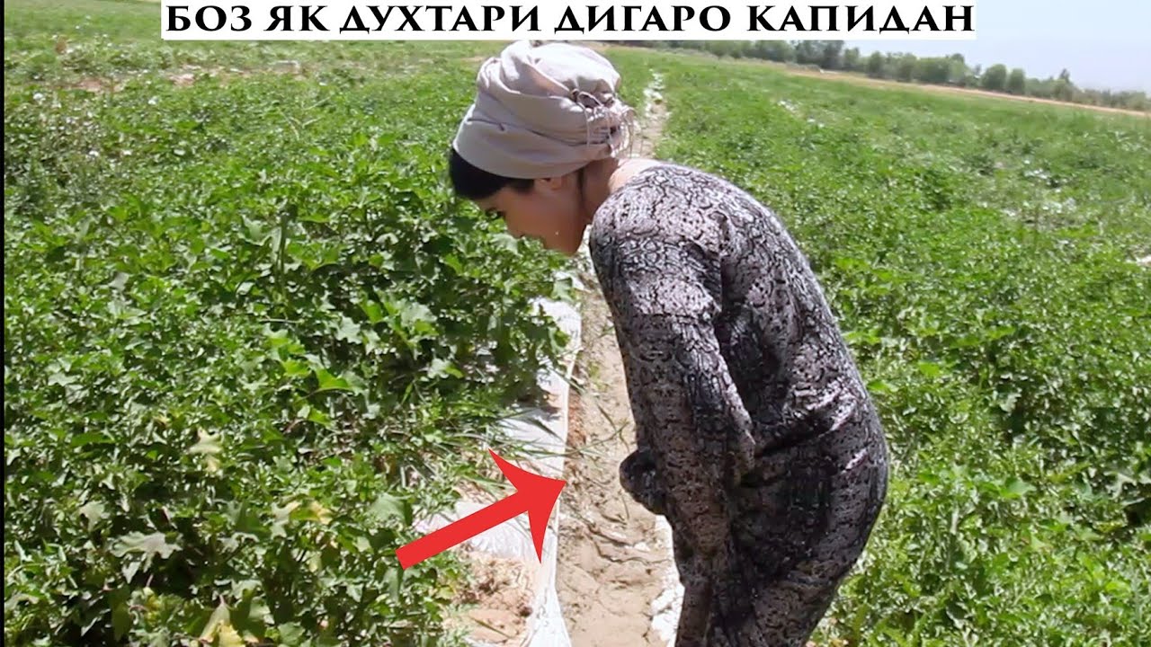 Ана дузди Замонави Нигох кунед дар кучош бачо мекна 😱Ганчина дзди кад Вор Vor