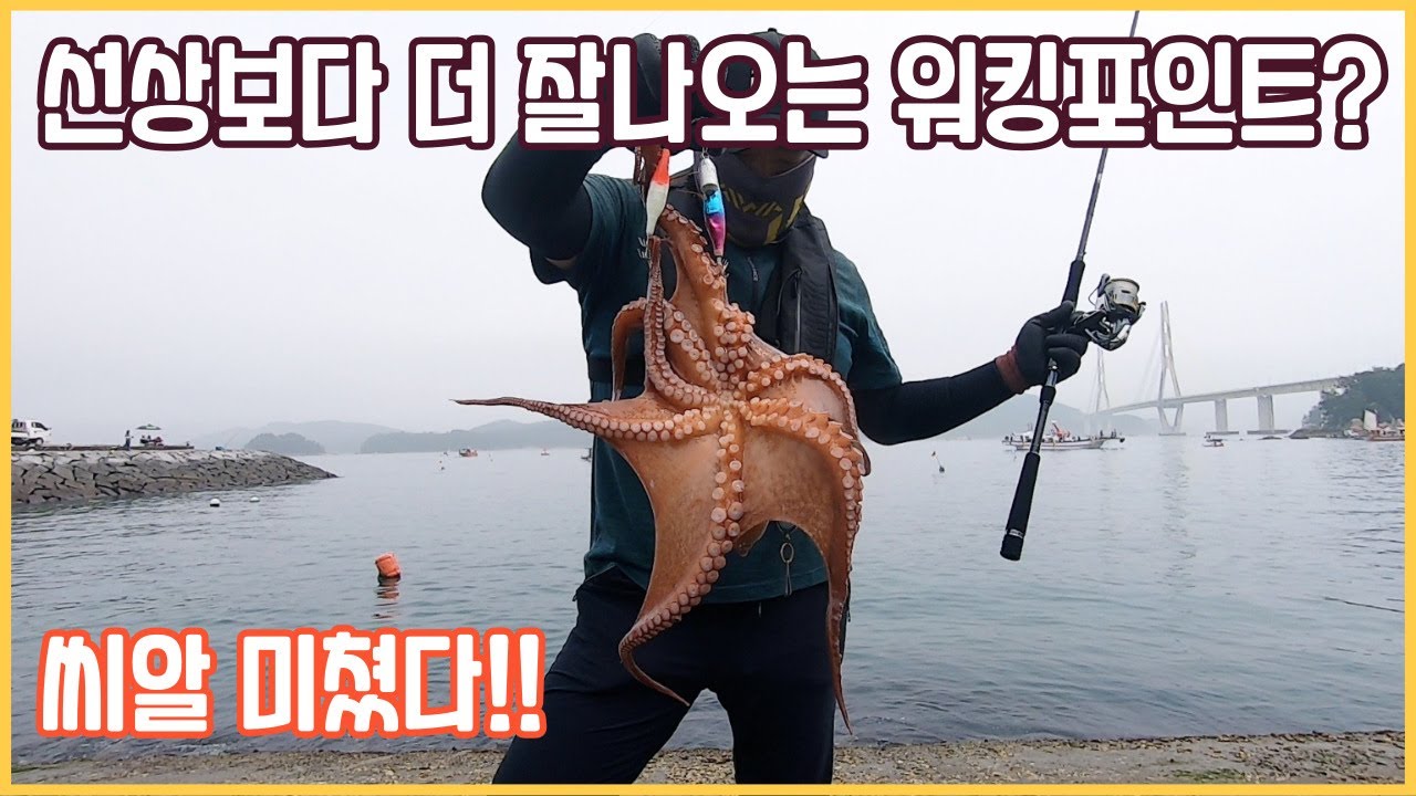주차후 바로앞 문어밭을 가봤습니다 (Feat. 선상보다 더 잘나온다? 대박!)