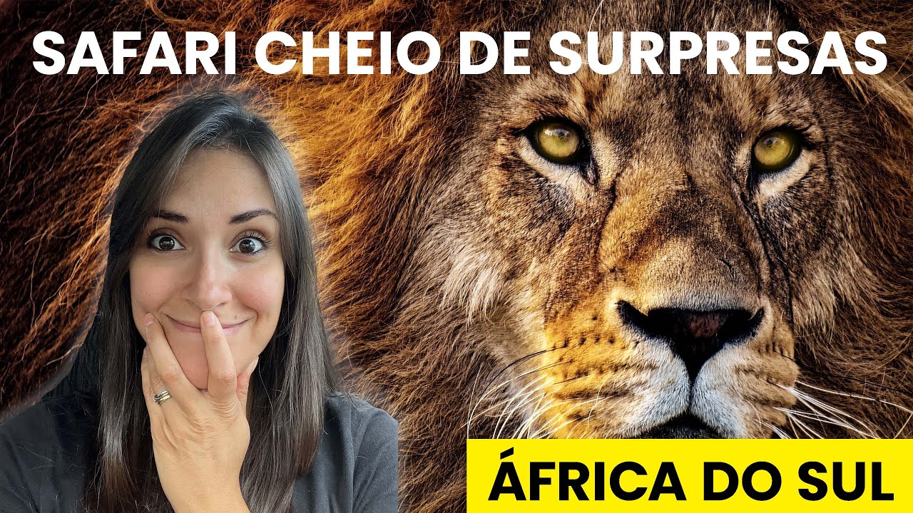 Meu 1° Safari na África do Sul | Aquila Game Reserve 🦁🦓