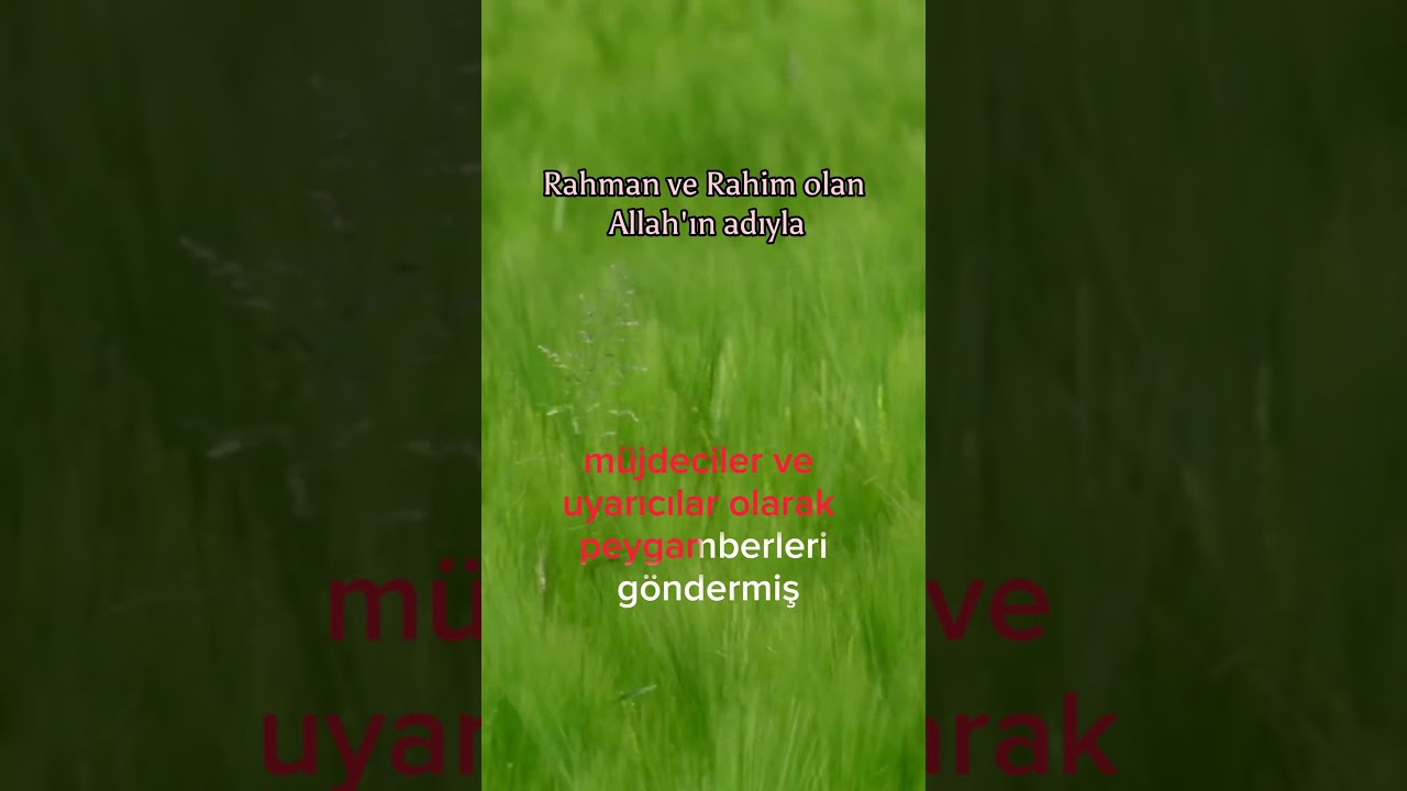 BAKARA S&Uuml;RESİ AYET; 212-213