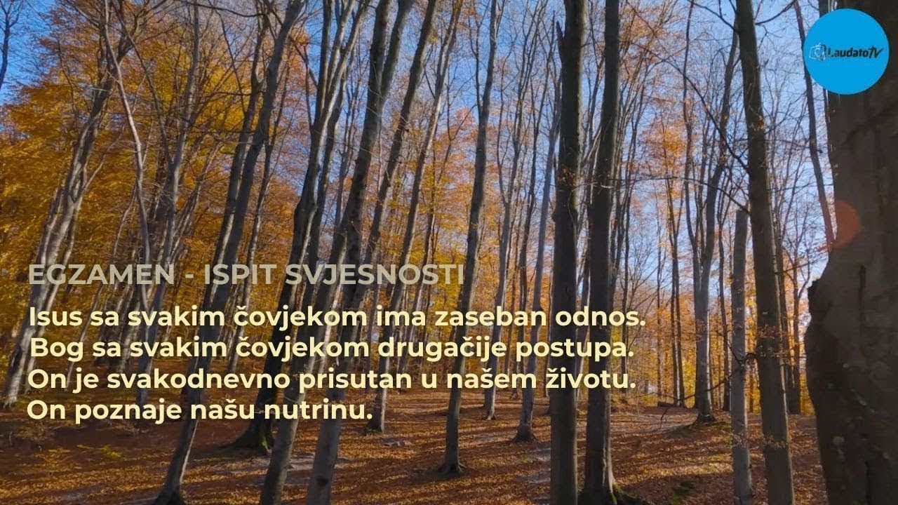 Egzamen - Ispit svjesnosti (6)