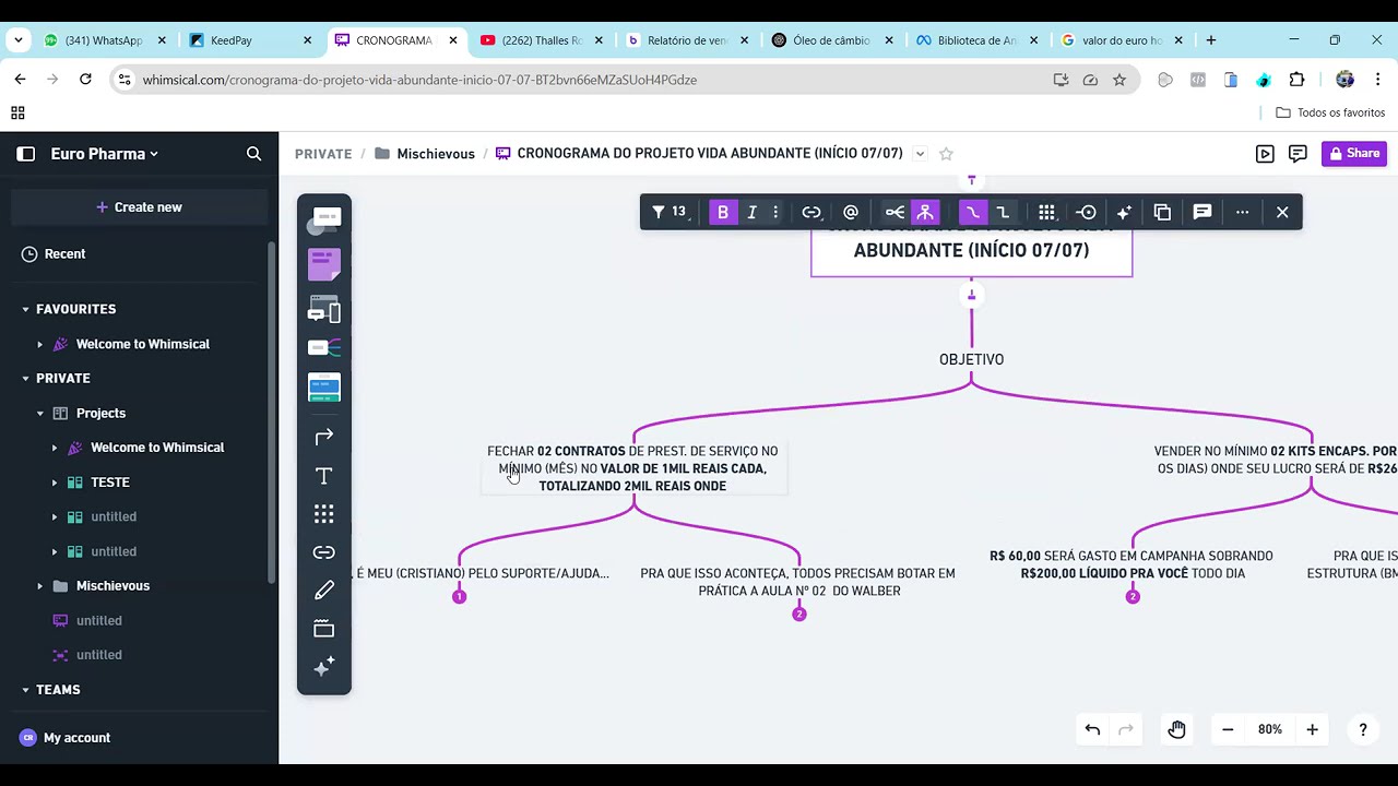 COMO VAI FUNCIONAR O PROJETO E QTO POSSO VOU GANHAR AO PARTICIPAR...