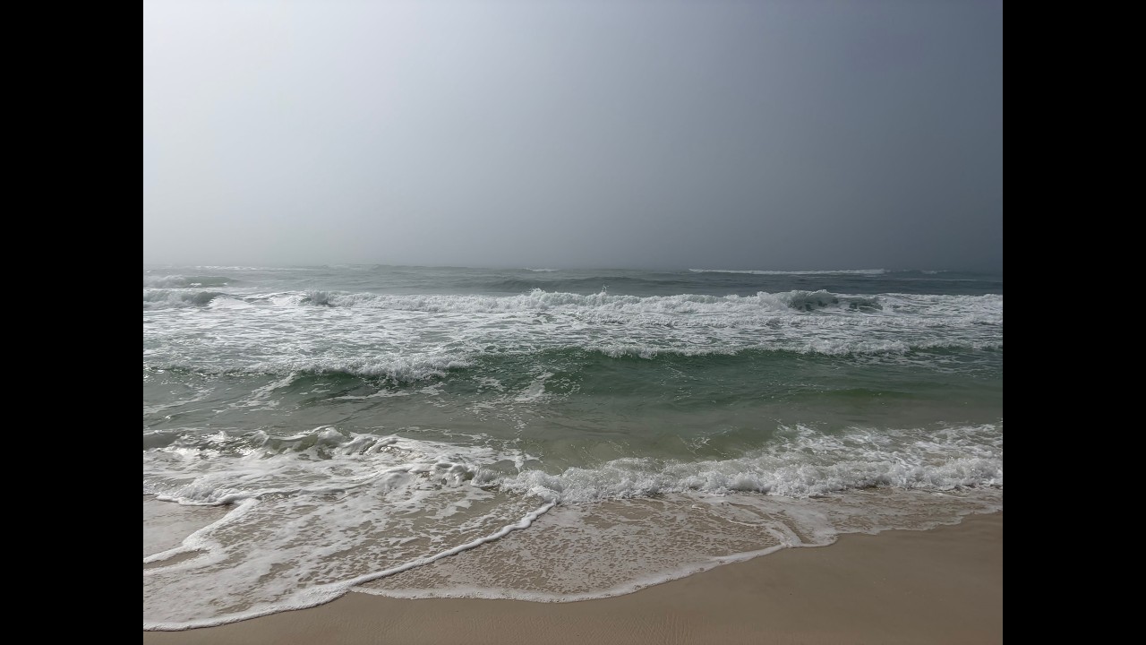 FOGGY Ocean Waves (1 HOUR) White Noise for Sleep & Relaxation