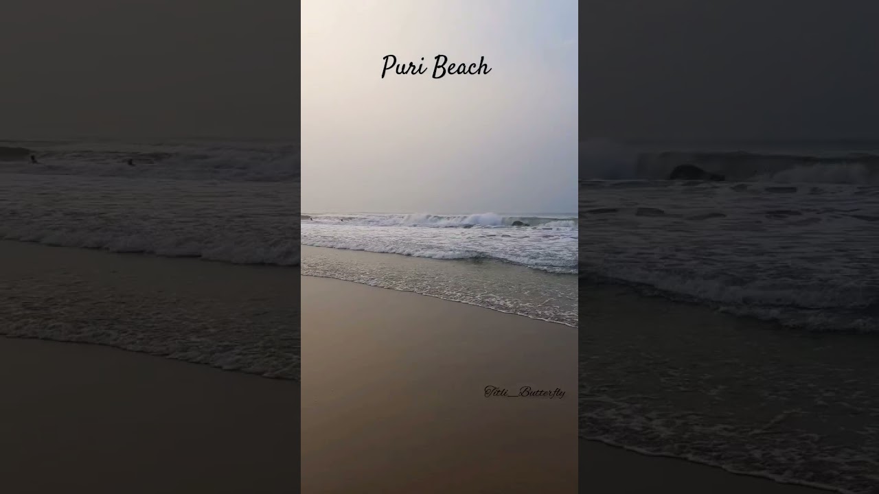 Sun, Sand, & the Sea 🌊 🌄 Early morning at #puri beach  ⛱️ #beach #sunrise #travelvlog #youtubeshorts