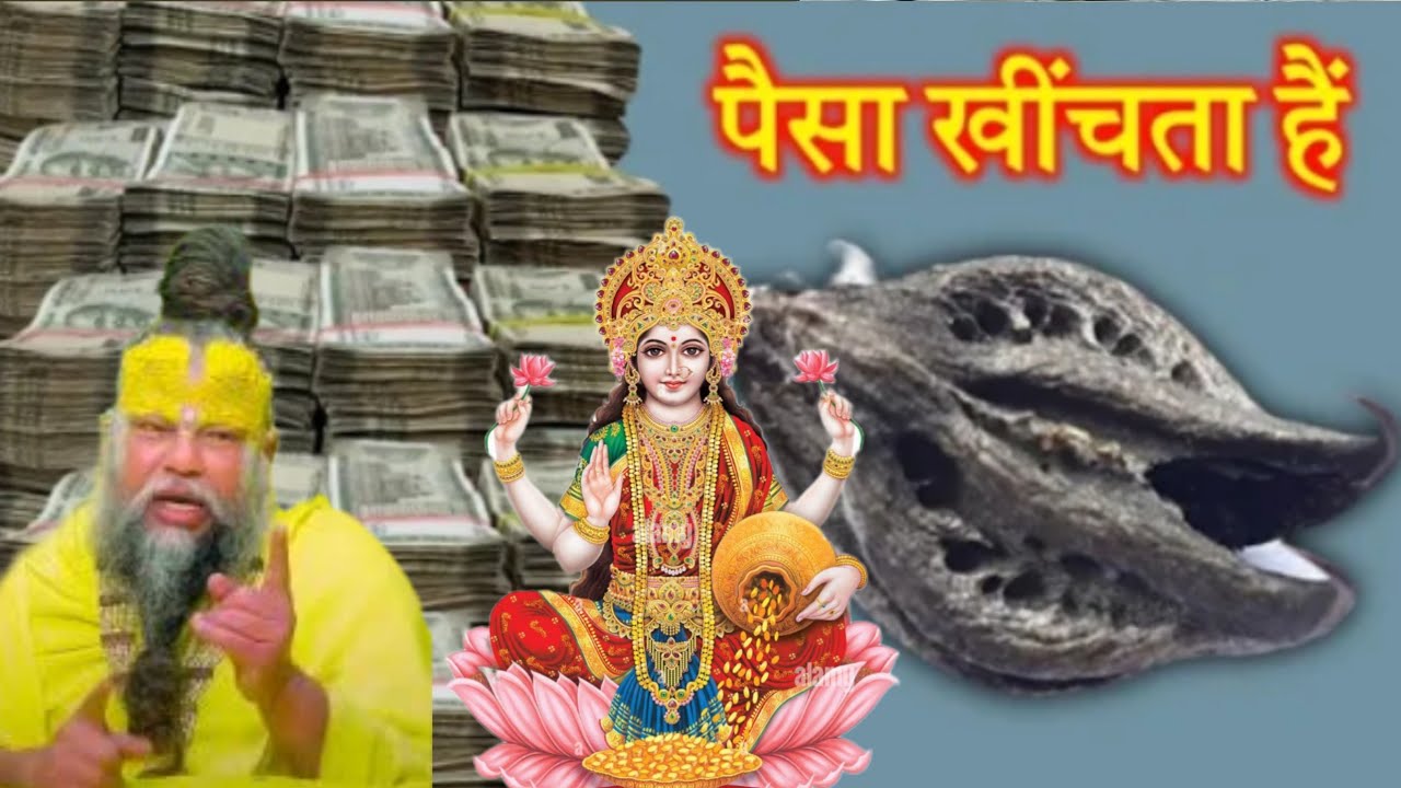 सप्ताह के किसी भी दिन यह पौधा अपने घर लाकर ताबीज में डाल देना बन जाओगे करोड़पति रातों रात