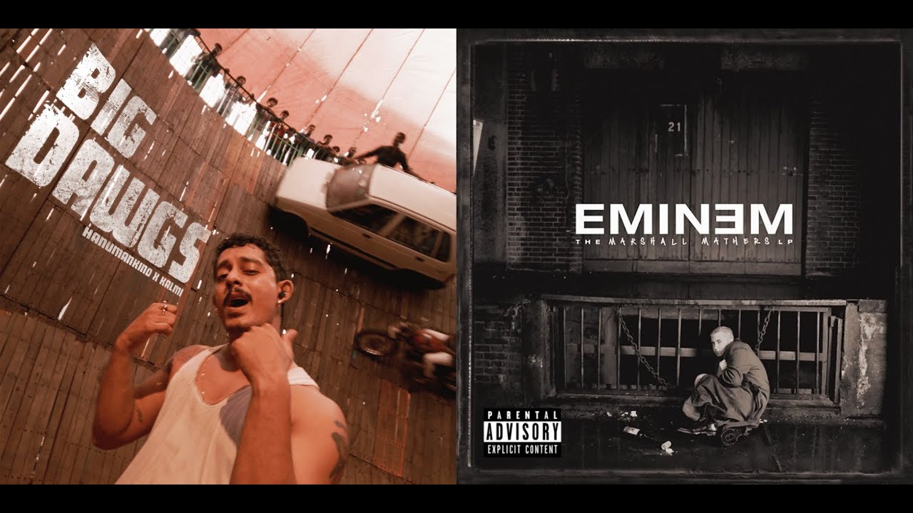 Hanumankind vs. Eminem - The Way The Big Dawgs I Am (Mashup)