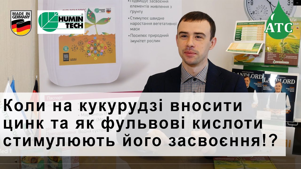 Коли та скільки вносити цинку на кукурудзі та як фульвові кислоти впливають на його засвоєння!?