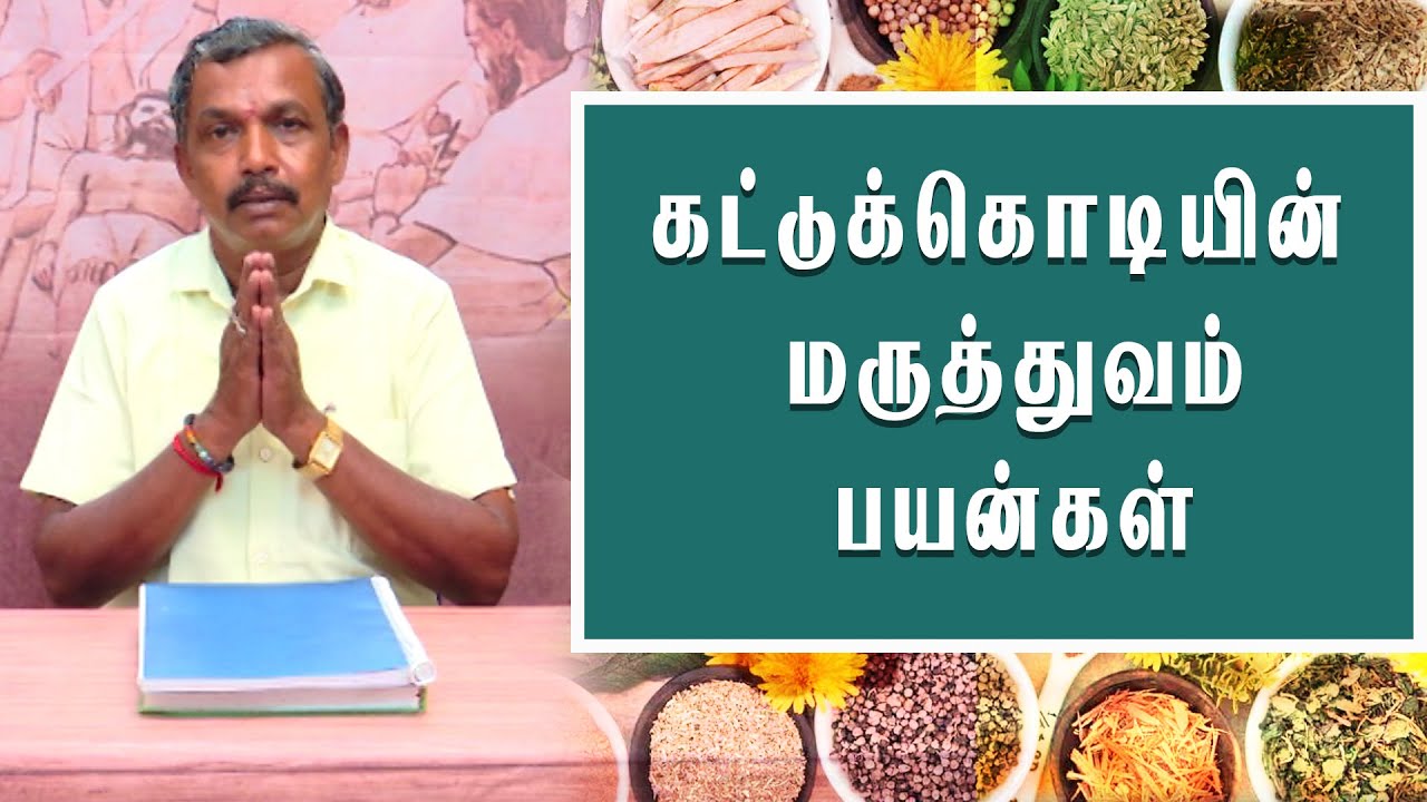 கட்டுக்கொடியின் மருத்துவம் பயன்கள் | சித்த மருத்துவம் | கேப்டன் டிவி