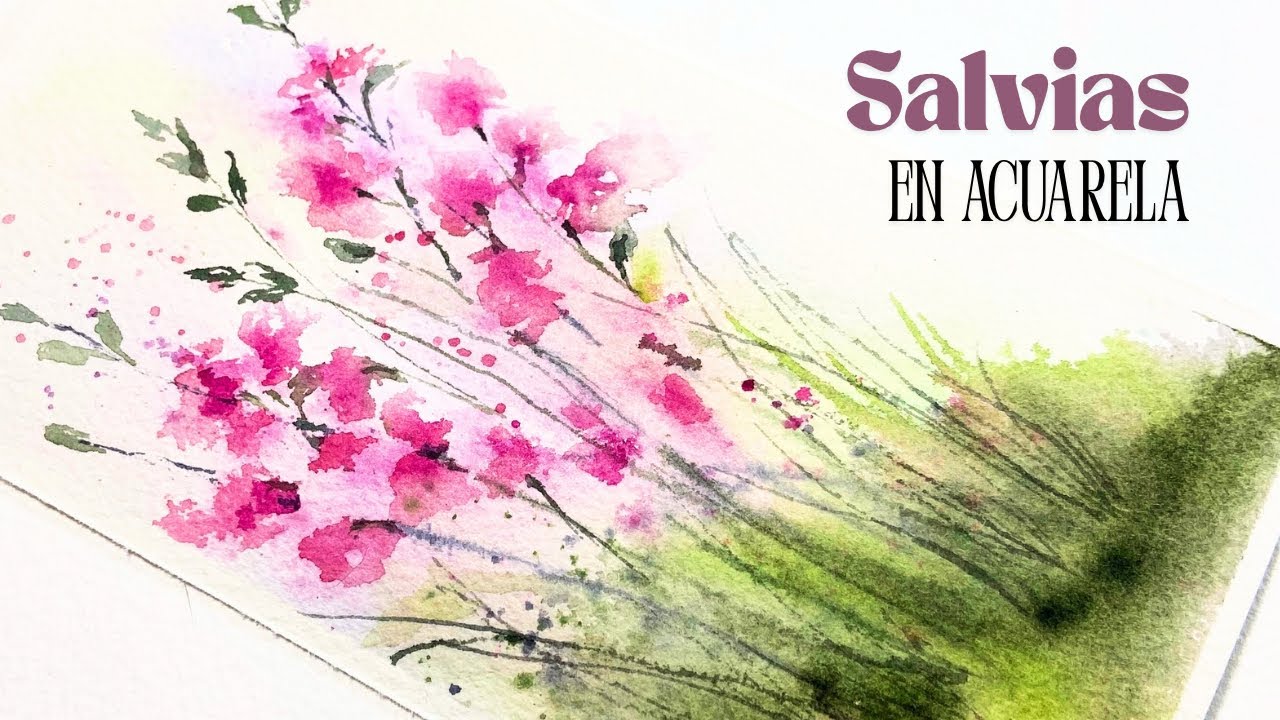Con Acuarela Pintamos unas Hermosas Salvias en Sencillos Pasos