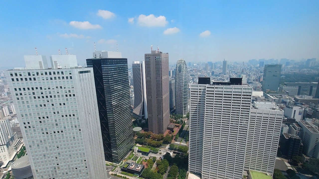 Tokyo walk - Tokyo Metropolitan Government Building Observatories - 4K
