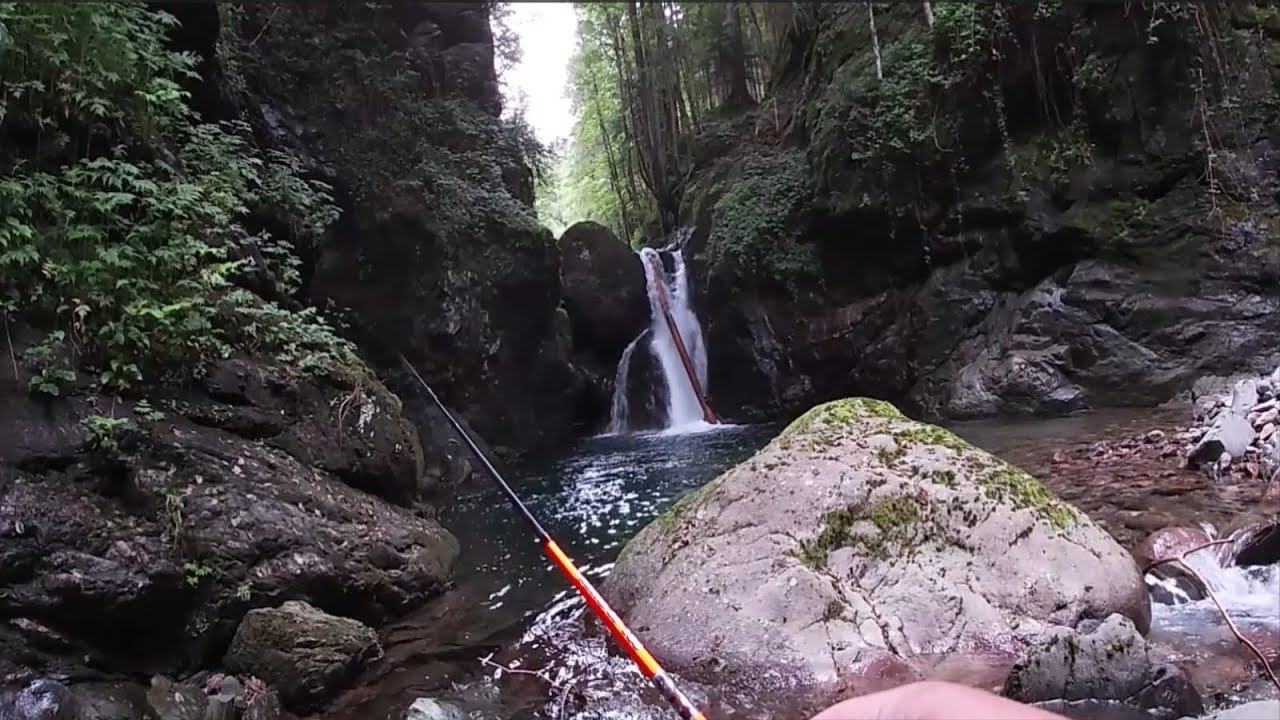 IL REGNO DELL'ACQUA: un FILM di PESCA alla TROTA FARIO nei TORRENTI di MONTAGNA