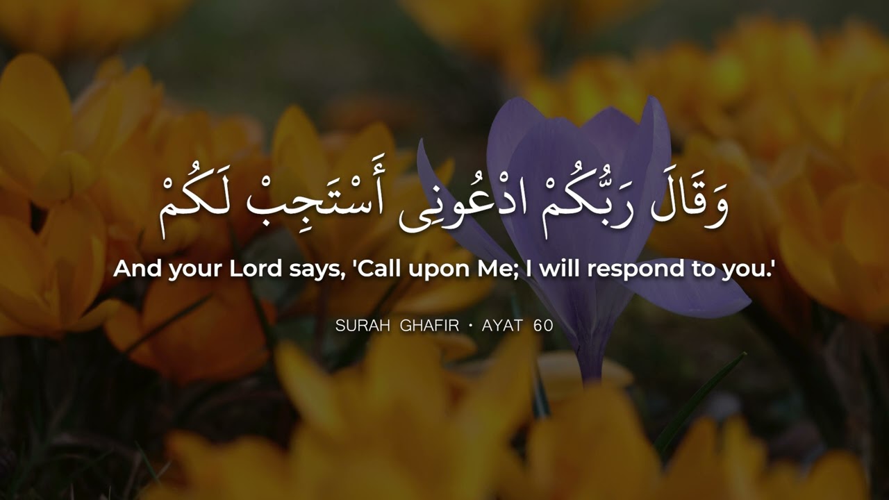 Surah Yaseen • Beautiful Quran Recitation by Hazza Al Balushi