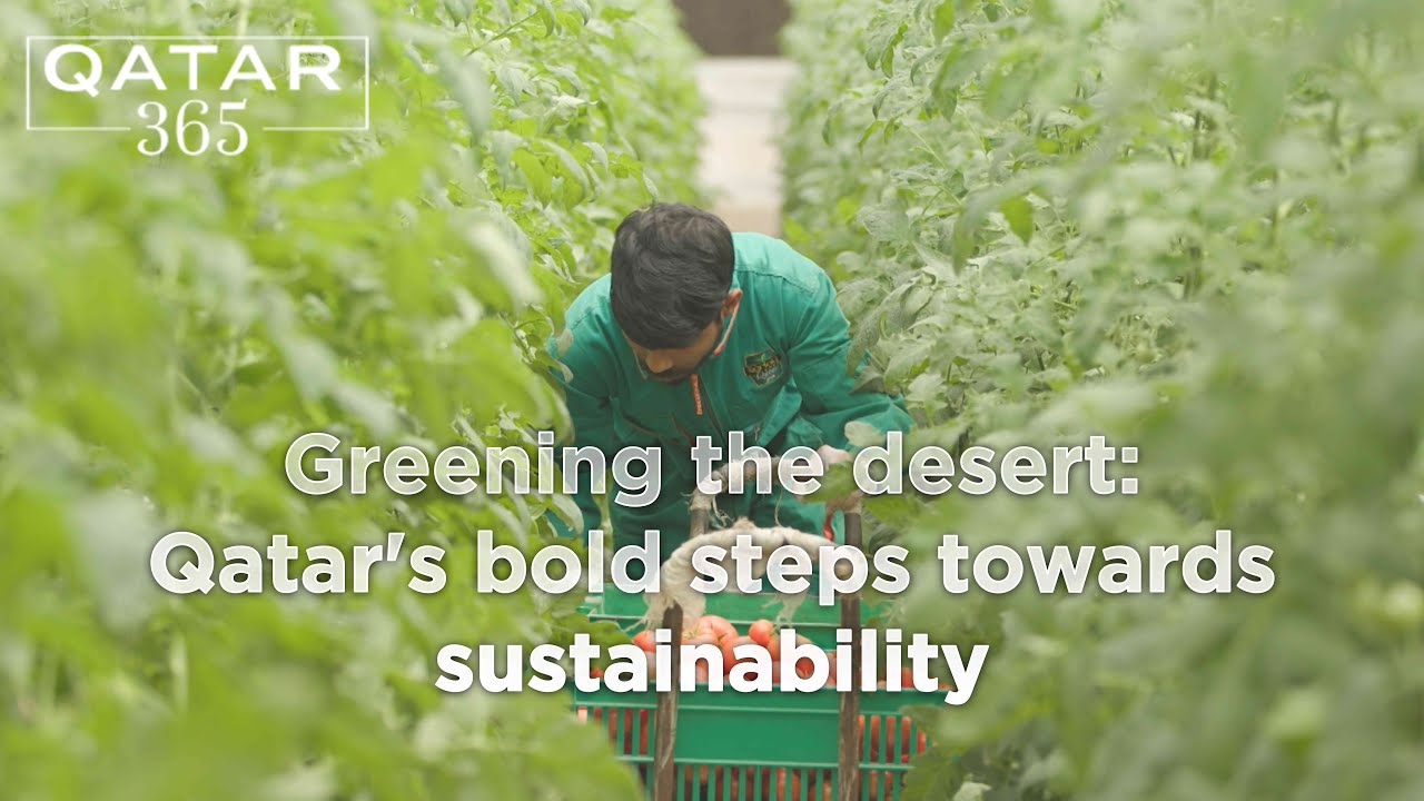 How Qatar is putting sustainability at the heart of its economy | Qatar 365