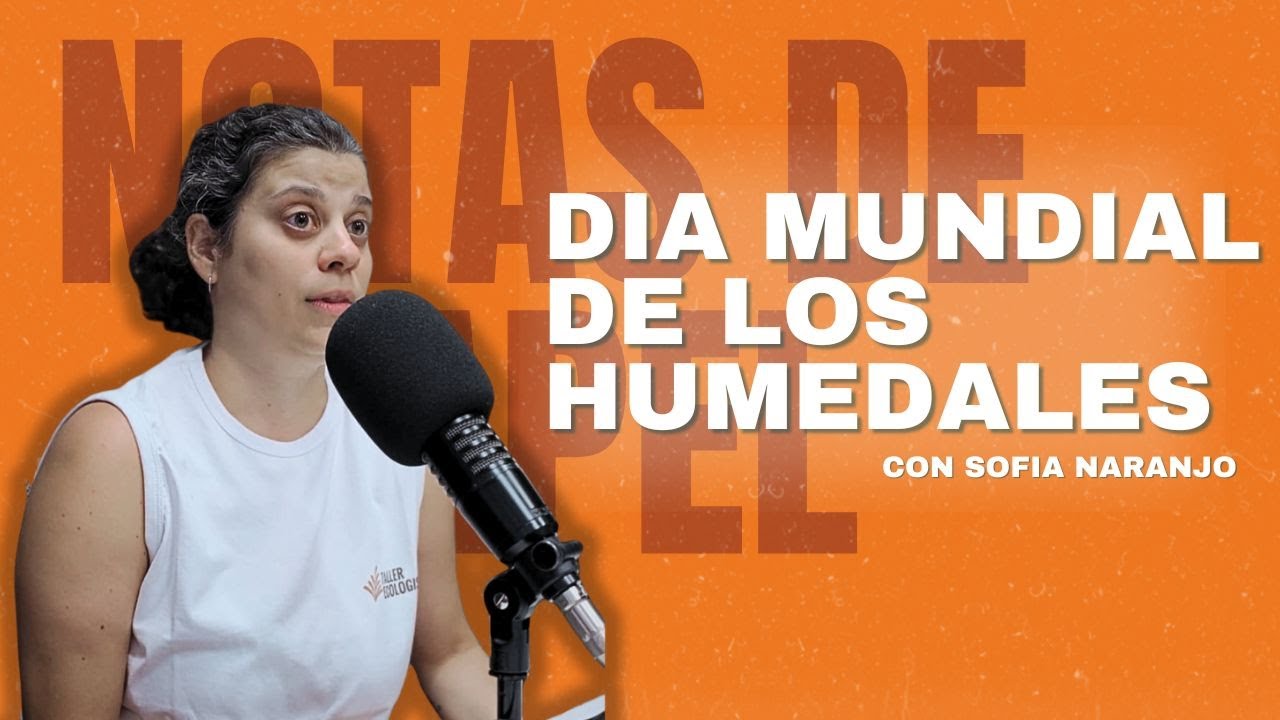Día Mundial de los Humedales: por qué defender el Delta del Paraná | Entrevista a Sofía Naranjo