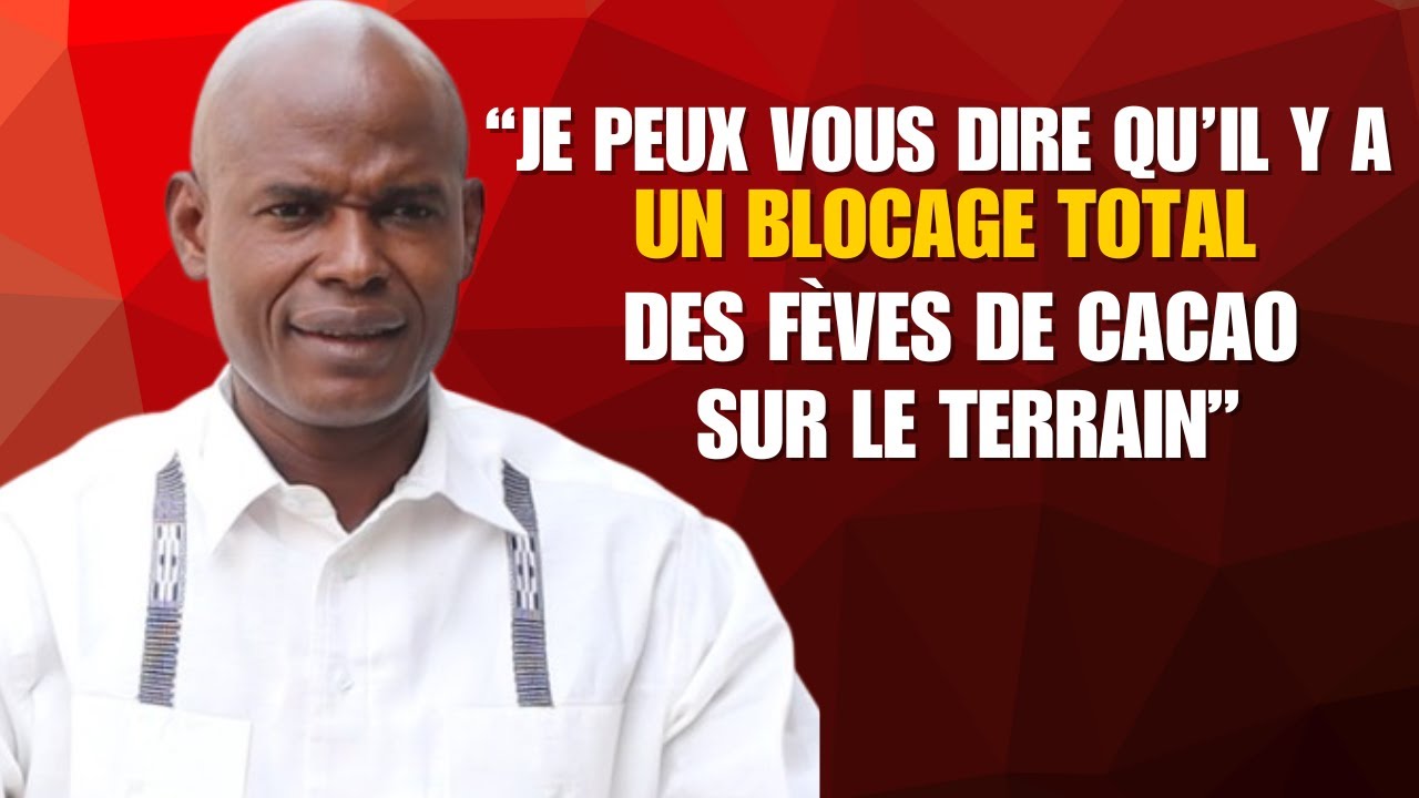 Commercialisation cacao en CI: "c’est un blocage total sur le terrain", selon kanga (pdt ANAPROCI)